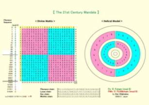 The.21st.Century.Mandala